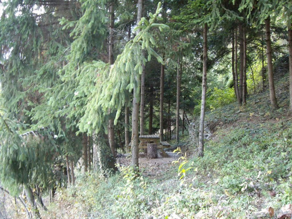 396-tavolo