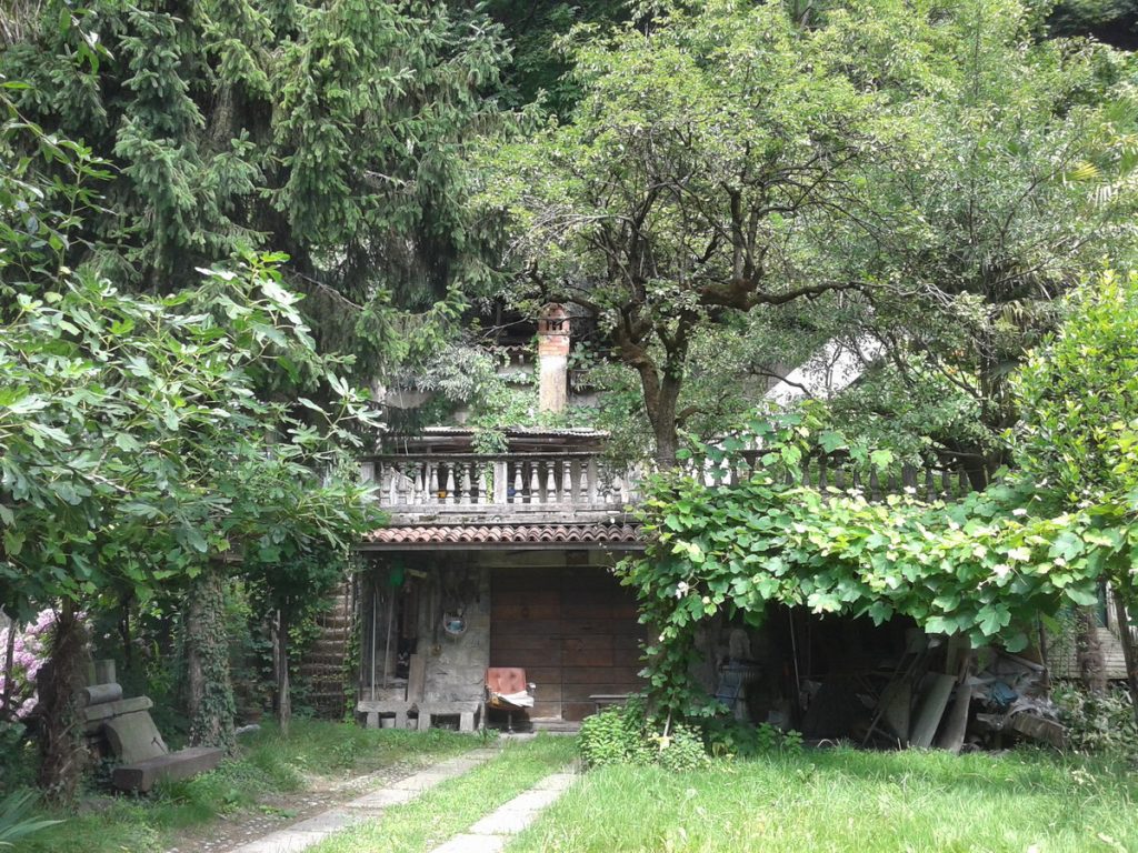 476-bosco