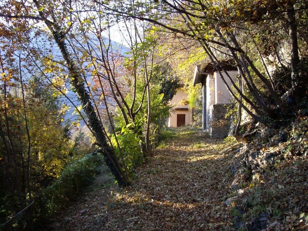 IMG_7067_ridimensionare