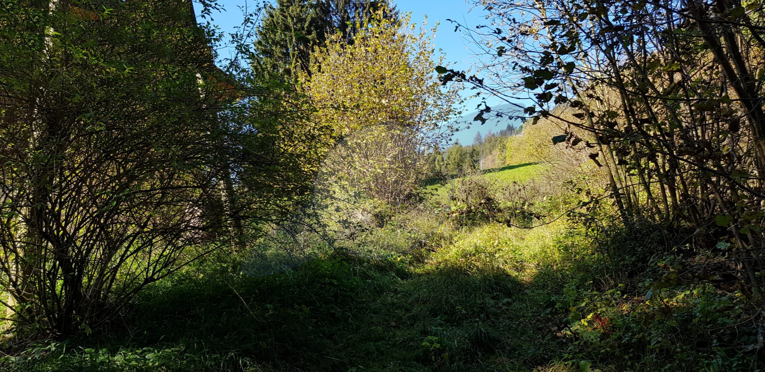 – 20191026_133103 m